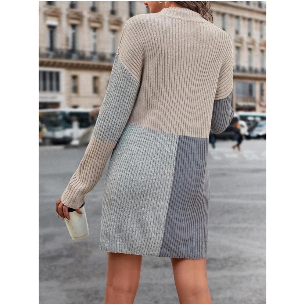 Cozy Color Block Mock Neck Sweater Dress - Picture 3 of 3